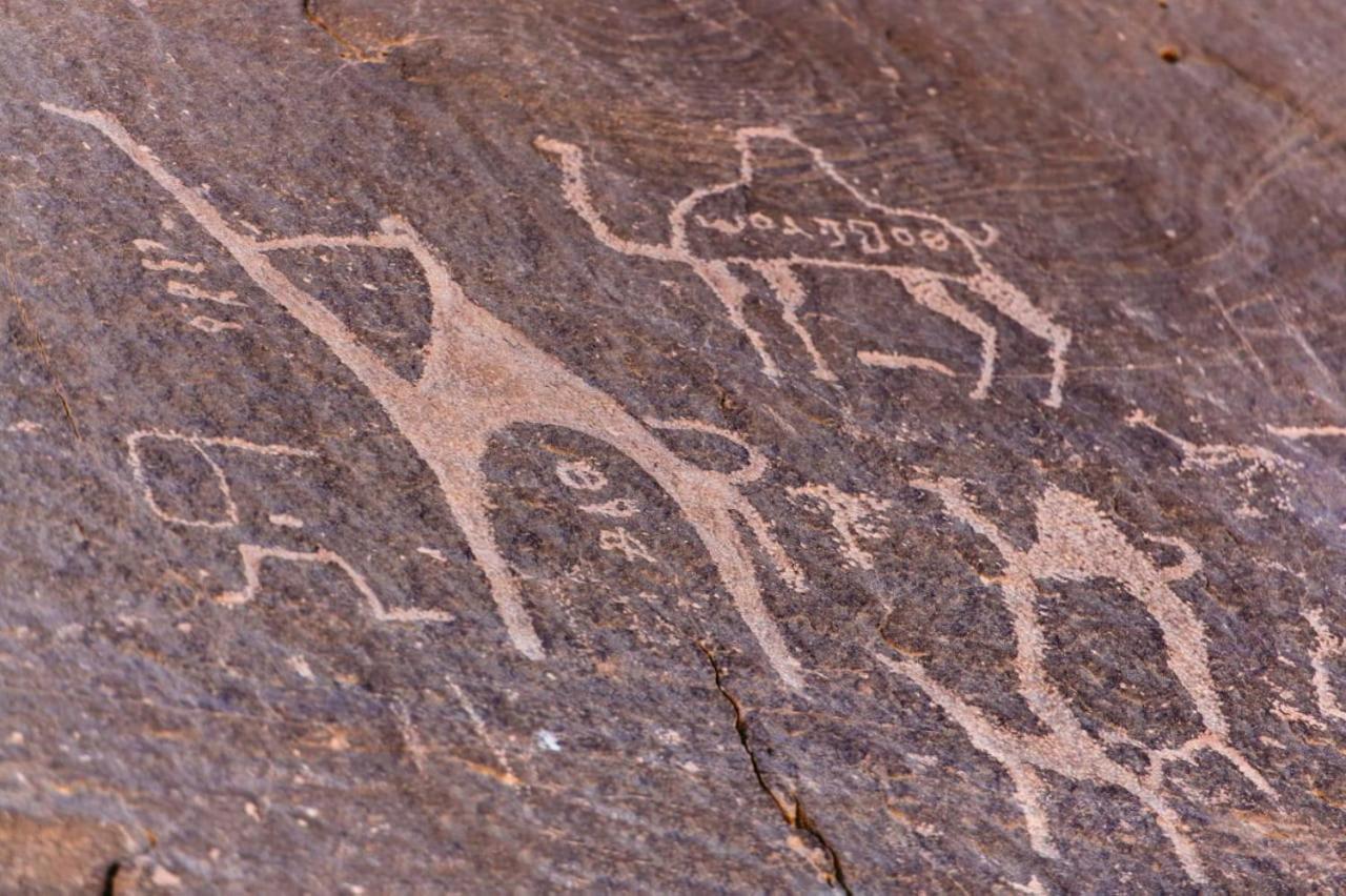 Hotel Harmony Luxury Camp Wadi Rum Exteriér fotografie