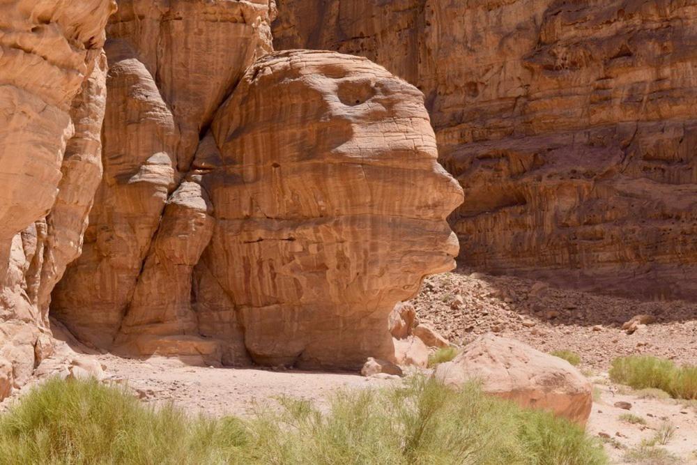 Hotel Harmony Luxury Camp Wadi Rum Exteriér fotografie