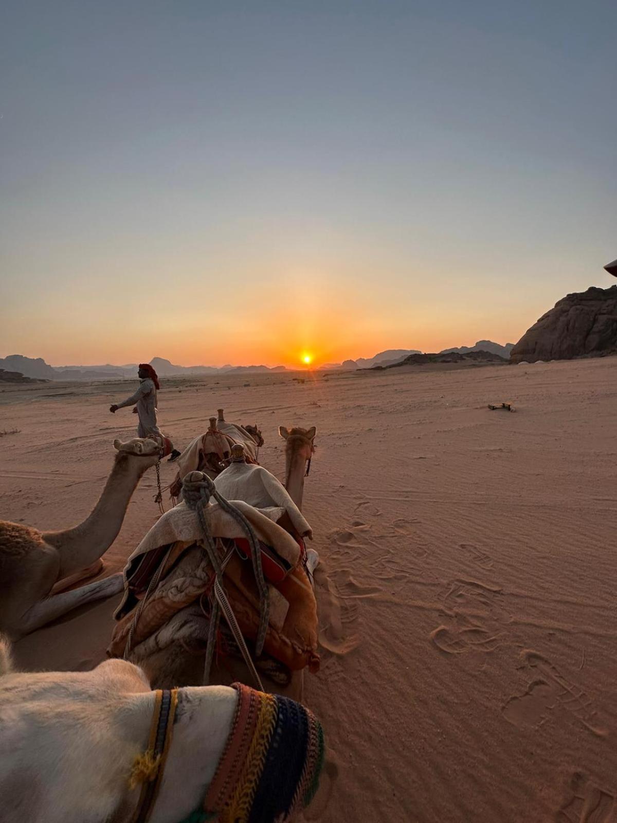 Hotel Harmony Luxury Camp Wadi Rum Exteriér fotografie