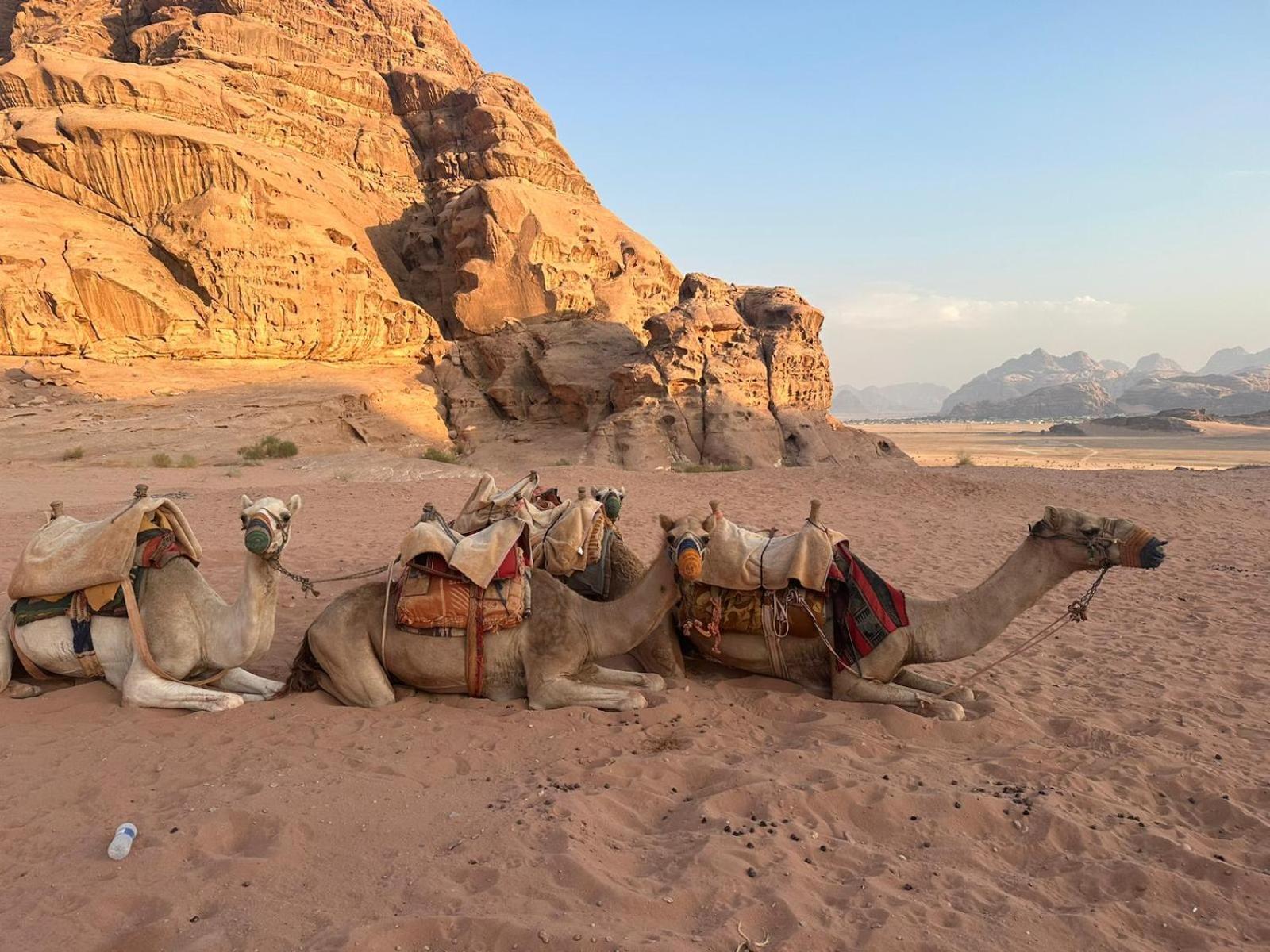 Hotel Harmony Luxury Camp Wadi Rum Exteriér fotografie